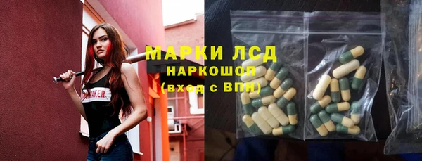 гидра Горняк