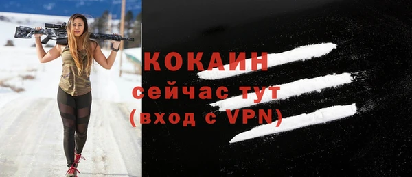 амф Вяземский