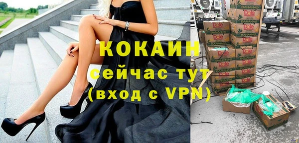 гидра Горняк