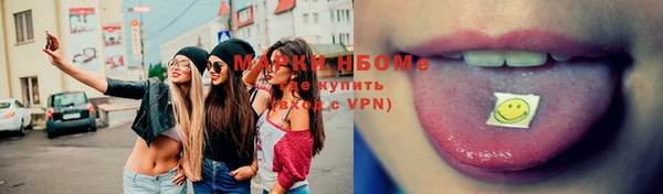 гидра Горняк