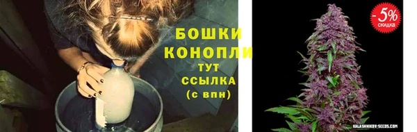гидра Горняк
