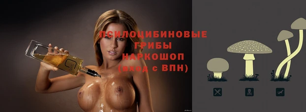 гидра Горняк