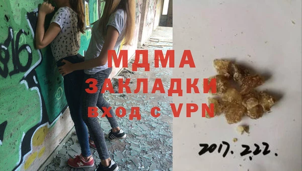 гидра Горняк
