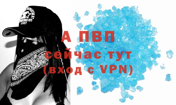 гидра Горняк