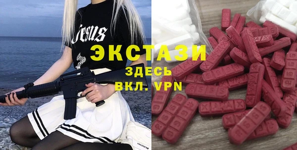 гидра Горняк