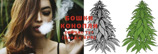 гидра Горняк