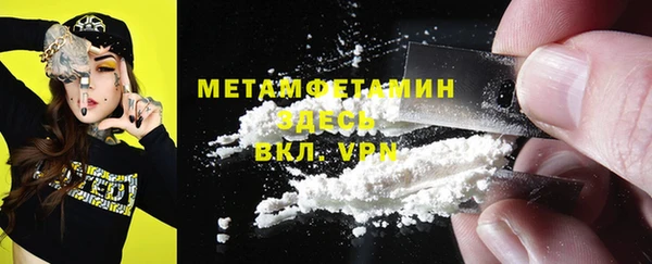 гидра Горняк