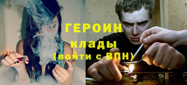 гидра Горняк