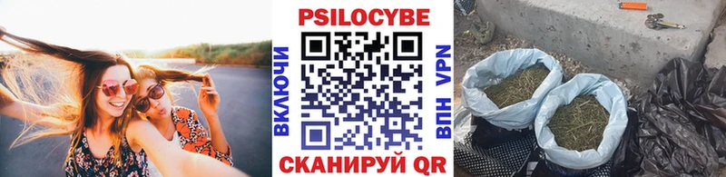 Купить закладки  Сковородино  Галлюциногенные грибы Psilocybe 