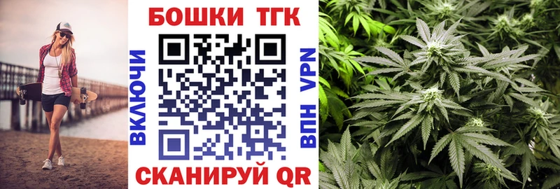 Бошки марихуана планчик  Купить закладки  Сковородино 